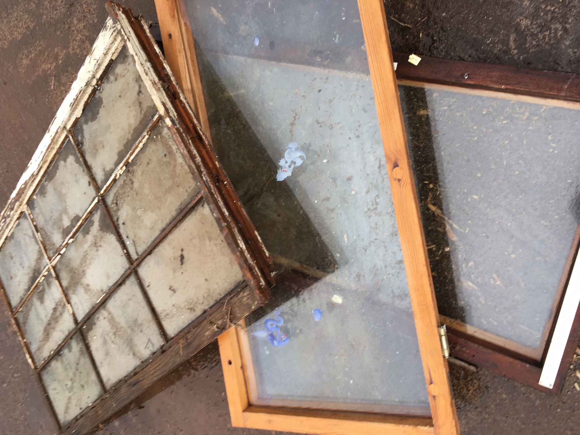 Fenster mit Glas AVV-170204